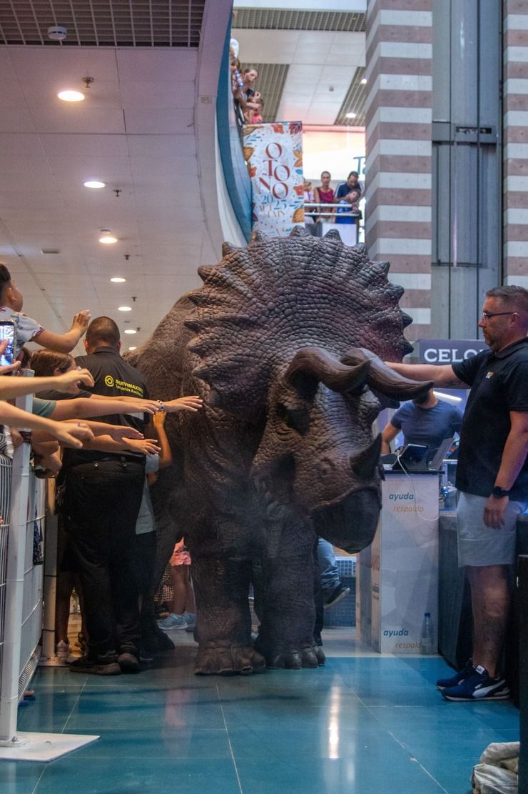 Imagen de la diapositiva