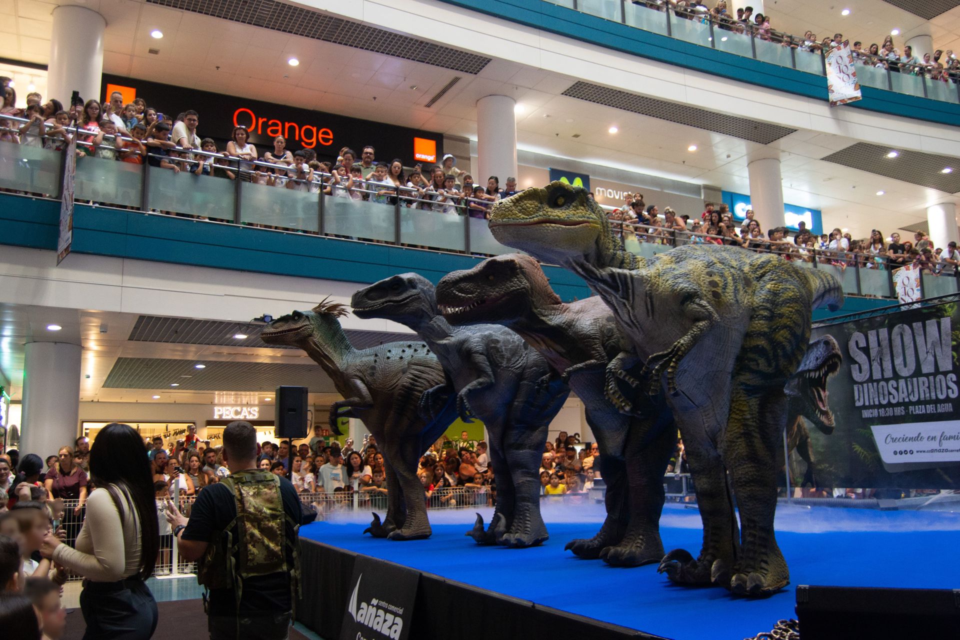 Imagen de la diapositiva