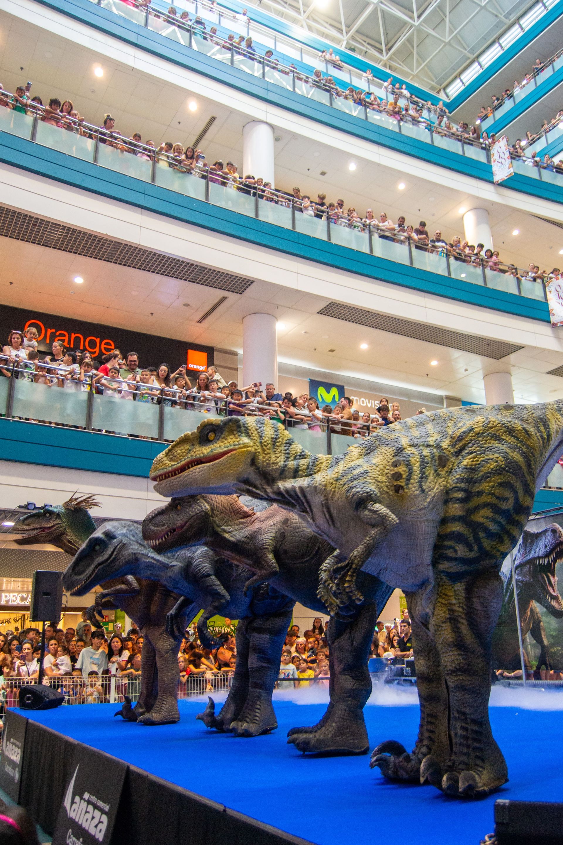 Imagen de la diapositiva